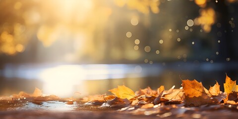 Autumn leaves falling through the air on an autumn day, with sunlight shining through them. \