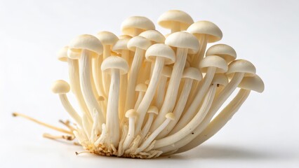 Golden Enoki Mushrooms on White Background with Delicate Texture  
