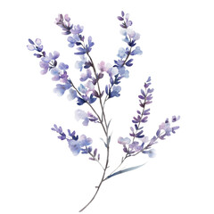 Obraz premium Serene Purple Floral Branch Design with Transparent Background
