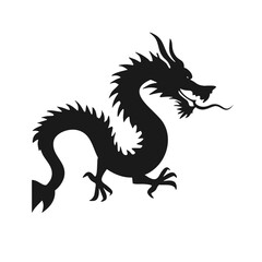 black and white dragon