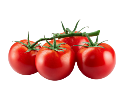 grappe de tomates