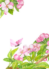 Vertical template watercolor with cherry blossom, spring flowers with pink butterflies. Copy space for your text. Apple, almond, sakura, plum blossom