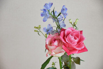 薔薇とデルフィニウム
