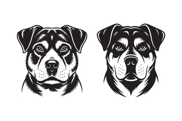 Rottweiler dog Black and White Vector