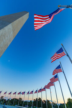 American flags surrounding the Washington Monument in Washington, D.C.