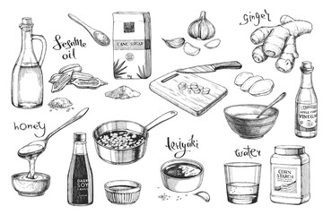 Vector set of hand-drawn illustrations of ingredients for cooking teriyaki. Japanese sauce recipe.