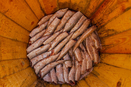 A view of salted herring in the small fishing town of Siglufjorour
