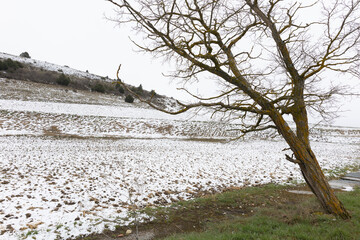Snow