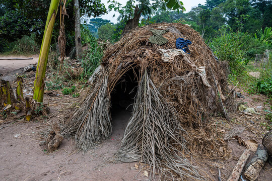 Pygmy dwelling, Dzanga Sangha National Park, UNESCO