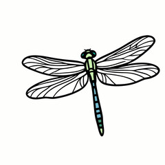 Dragonfly line drawing displays widespread wings with green and blue body accents Nature illustration style resembles field guide or coloring book aesthetic Concept educational materials, nature journ
