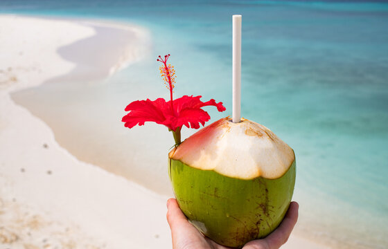 Woman holding coconut on tropical beach, The Maldives, Indian Ocean