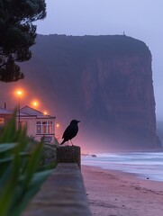 Silhouette of a bird on a coastal wall at dawn, with a large cliff in the background.