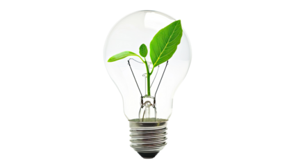 Innovation Blossoms: A fresh concept visualized with a green sprout flourishing inside a transparent light bulb, embodying sustainable ideas.
