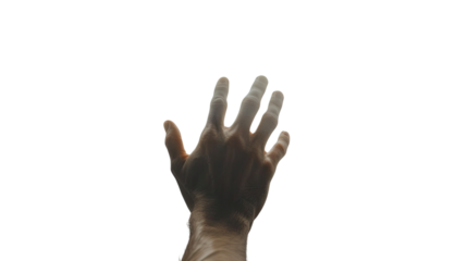 Reaching Out: The stark silhouette of a hand, fingers outstretched against a simple background, portrays a sense of longing, or seeking. A study in texture and form.