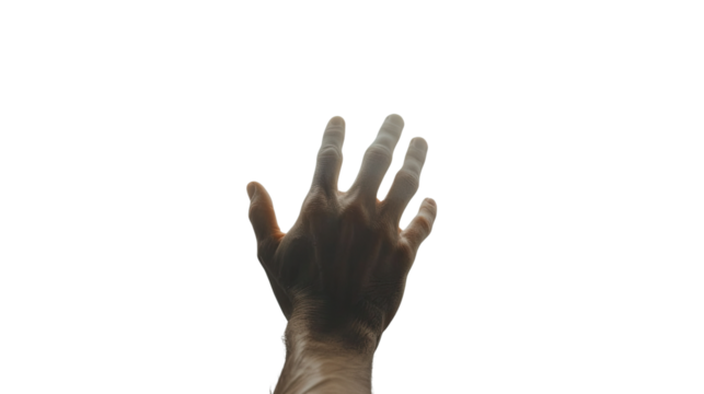 Reaching Out: The stark silhouette of a hand, fingers outstretched against a simple background, portrays a sense of longing, or seeking. A study in texture and form.