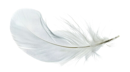 Ethereal Ascent: Delicate feather floats gracefully in a studio setting, showcasing its soft texture and natural details