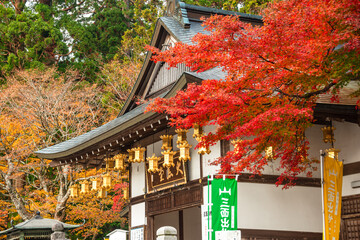 Golden lanterns under temple roof, glowing against backdrop of wooden beams, Zen Buddhist temple, Mount Hiei, Kyoto area, Honshu