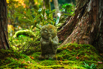 A lone warabe Jizo statue standing serenely amidst the verdant moss and foliage near Sanzen-in Temple in Ohara, Kyoto, Honshu