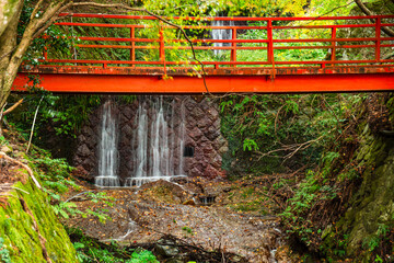 Cascading waterfall beneath a vivid red bridge, surrounded by moss-covered rocks and lush greenery in a peaceful forest, Kyoto, Honshu