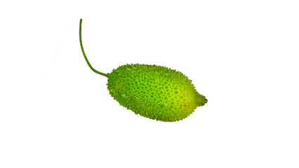 Spiny gourd in white background, Spiny gourd isolated in white