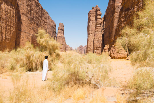 Man looking at the magnificent sandstone rock structure in the Sharaan Nature Reserve, AlUla, Medina Province