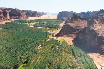 Aerial view of Palm grove and farms in the oasis of AlUla, Medina Province