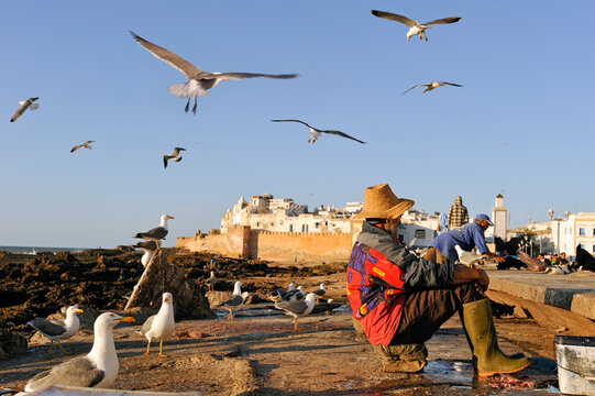 The Medina seen from sea wall on the way to the harbour, Essaouira