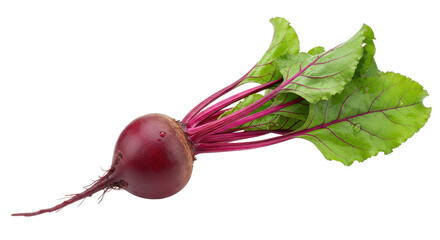Isolated Beetroot with Green Leaves