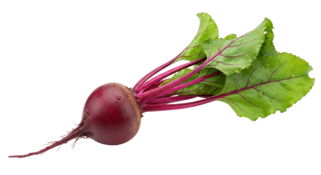 Isolated Beetroot with Green Leaves