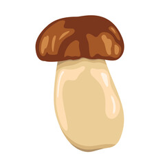 Boletus edulis mushroom with brown cap