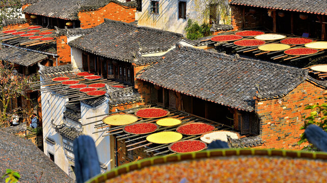Chillies and corn being sun dried, Huangling, ancient village dating back to the Ming Dynasty, Wuyuan County, Shangrao City, Jiangxi Province