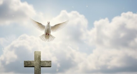 Sacred Moment: White Dove Landing on the Holy Cross