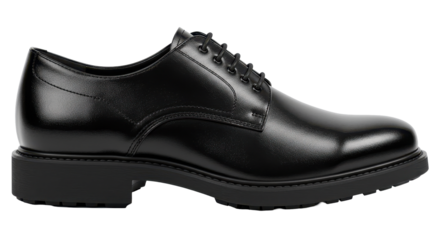 Isolated Black Leather Shoe