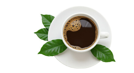 Isolated Cup of Coffee with Leaves