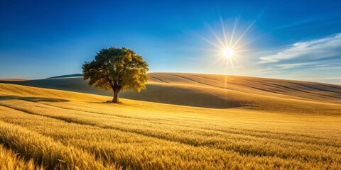 Minimalist Countryside Landscape: Rolling Hills & Golden Wheat Field