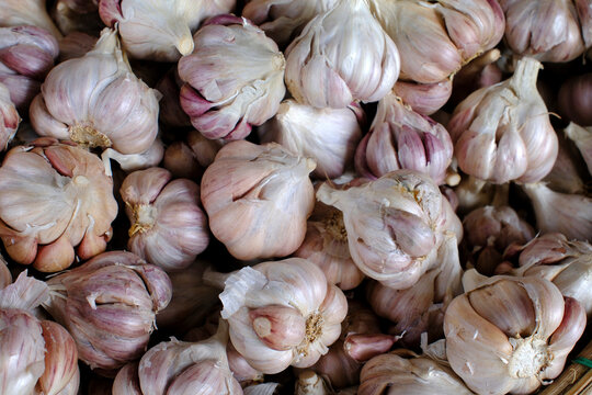 Dong Ba market, food stand, fresh garlic for sale, Hue