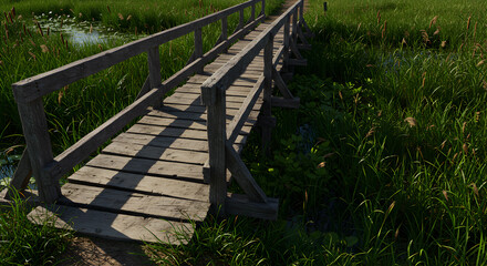 Fototapeta premium Rustic wooden bridge traverses a tranquil wetland landscape immersed in sunlight