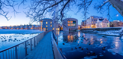 View of swans and ducks with City Hall in background in the city centre of Reykjavik at dusk in winter, Reykjavik