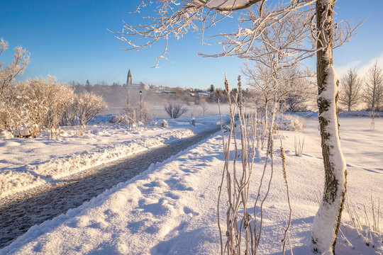 View of Tjornin park and Hallgrimskirkja on a sunny day in winter, Reykjavik - Powered by Adobe