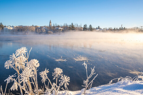 View of Tjornin park and Hallgrimskirkja on a sunny day in winter, Reykjavik