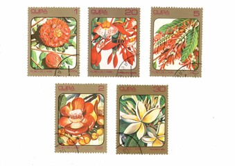 Vintage postage stamps from Cuba isolated on a white background.