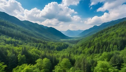 Obraz premium Beautiful natural scenery with expanse of green forest and vast mountains as the background.