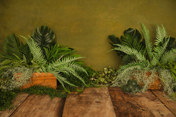 Jungle theme decoration background for anniversary and smash the cake photo shootings. 