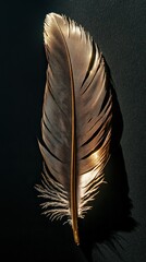 Golden feather with shadow on dark surface, mobile friendly