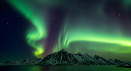 Obraz premium Spectacular aurora borealis dancing above snow capped peaks in Norway