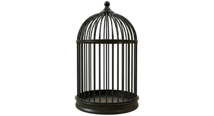 Isolated Empty Black Bird Cage