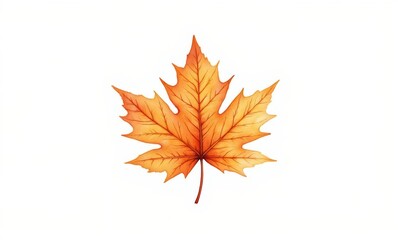 Vibrant orange maple leaf