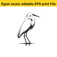 Vector Egret or Heron, standing and flyind