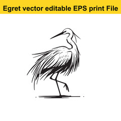 Vector Egret or Heron, standing and flyind