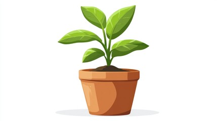 Vibrant Green Plant Growing in a Terracotta Pot Filled with Soil Isolated on White Background
